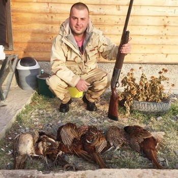 Охота на фазана бесплатно в Астрахани