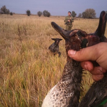 Осеняя охота на утку в Астрахани