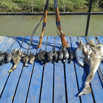 Охота на гуся и лебедя в Астрахани